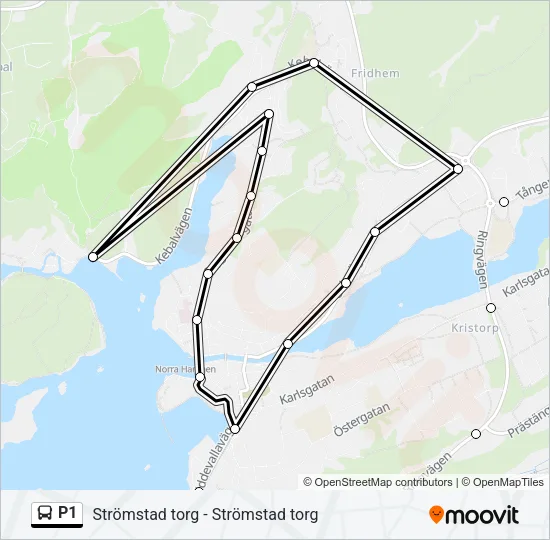 P1 Bus Line Map