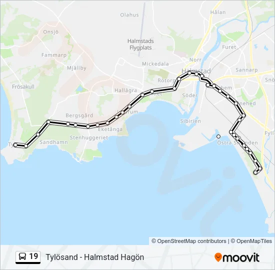 19 Bus Line Map