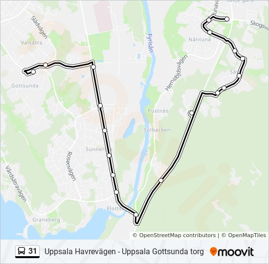 31 bus Line Map