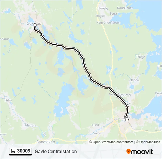 30009 Bus Line Map