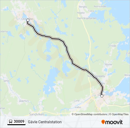 30009 bus Line Map