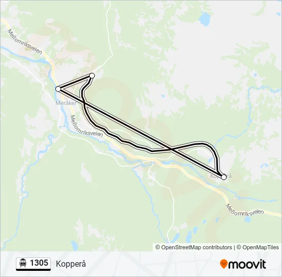 1305  Line Map