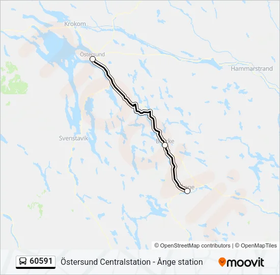 60591 Bus Line Map