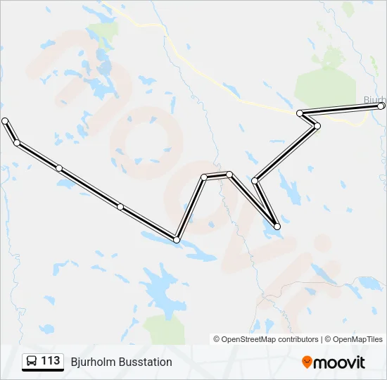 113 Bus Line Map