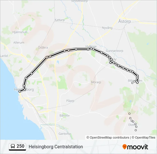 250 Bus Line Map