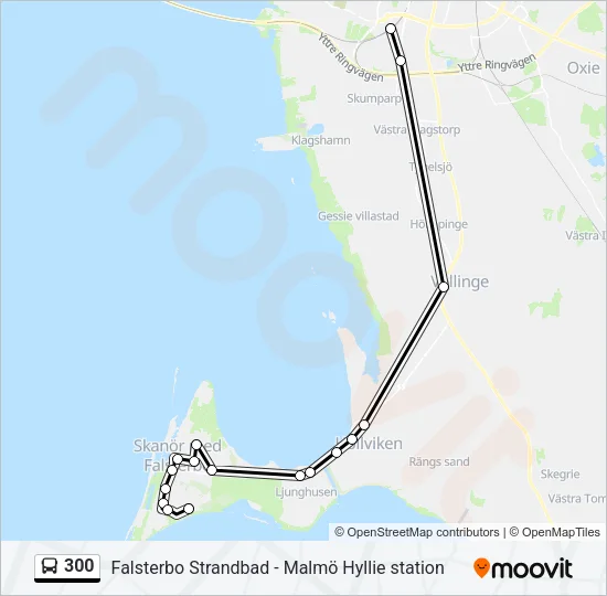 300 Bus Line Map