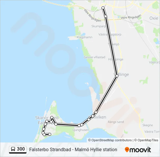 300 Bus Line Map