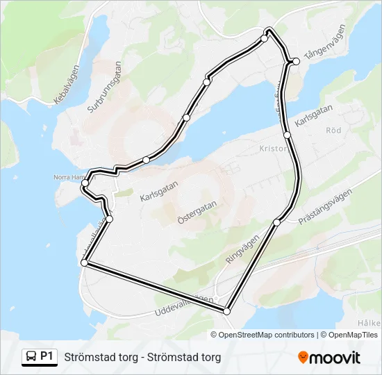 P1  Line Map