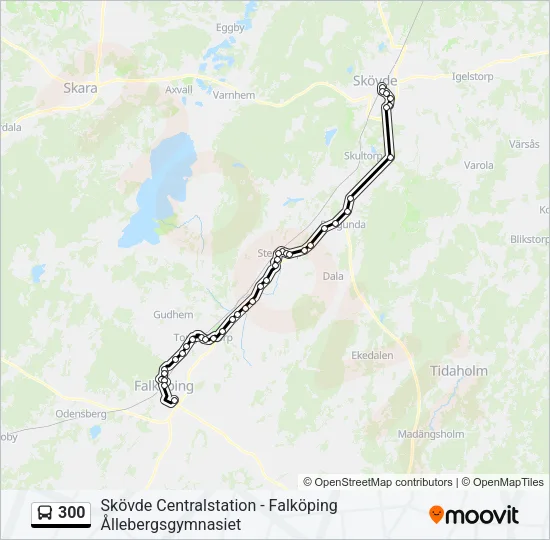 300  Line Map