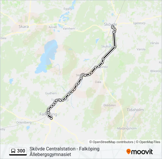 300  Line Map
