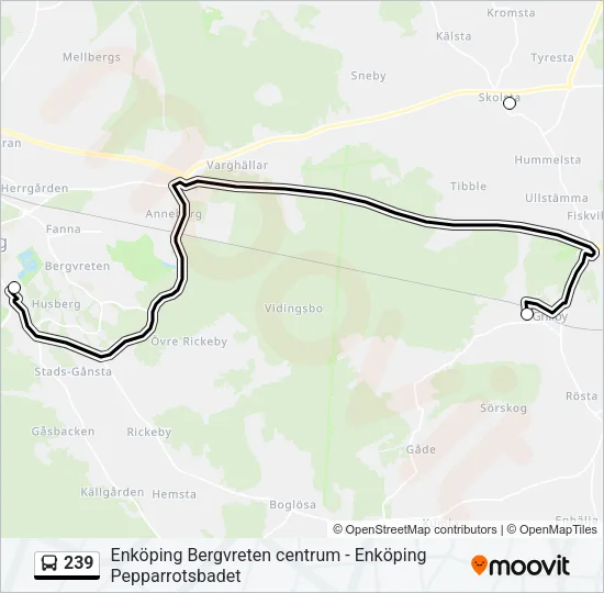 239 Bus Line Map