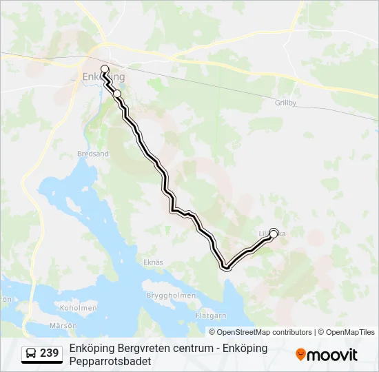 239 Bus Line Map