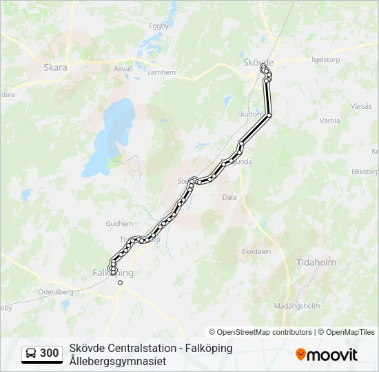 300  Line Map