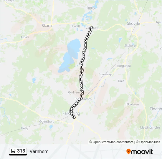 313 Bus Line Map