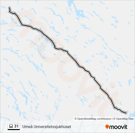 31 Bus Line Map
