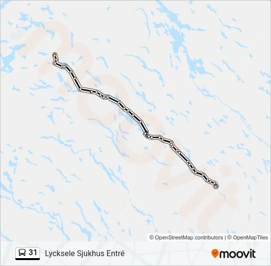 31 Bus Line Map