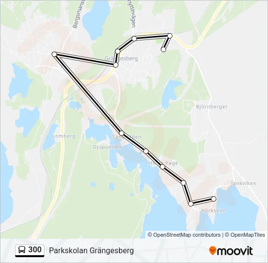 300 Bus Line Map