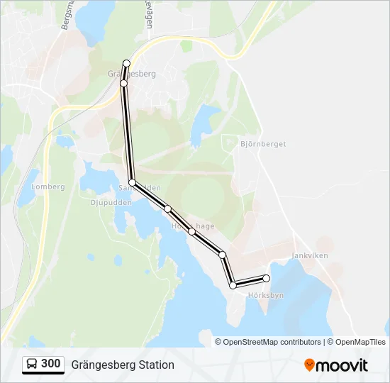 300 Bus Line Map