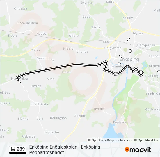 239 Bus Line Map