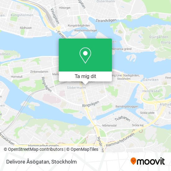 Delivore Åsögatan karta