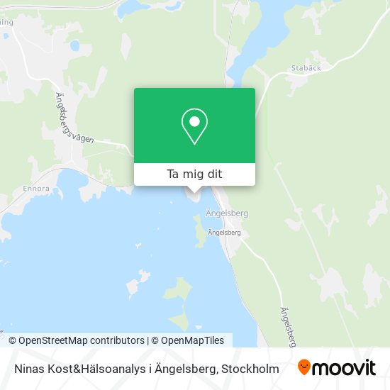 Ninas Kost&Hälsoanalys i Ängelsberg karta