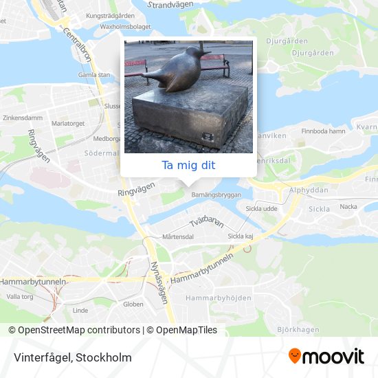 Vinterfågel karta