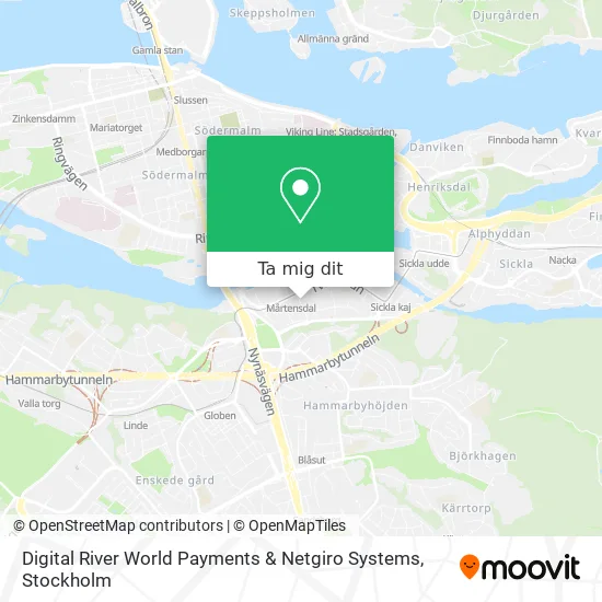 Digital River World Payments & Netgiro Systems karta