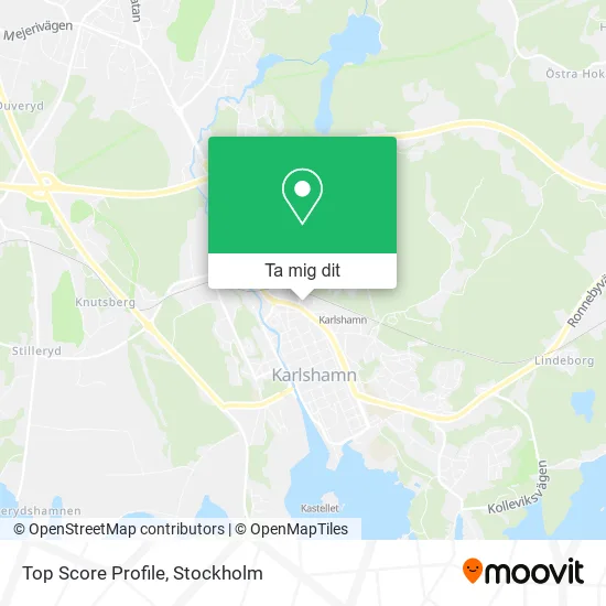 Top Score Profile karta