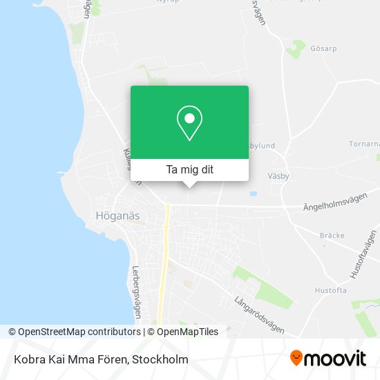 Kobra Kai Mma Fören karta