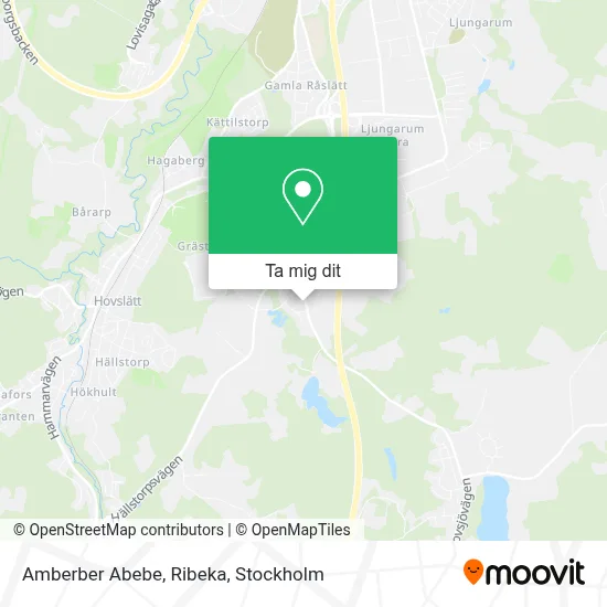 Amberber Abebe, Ribeka karta