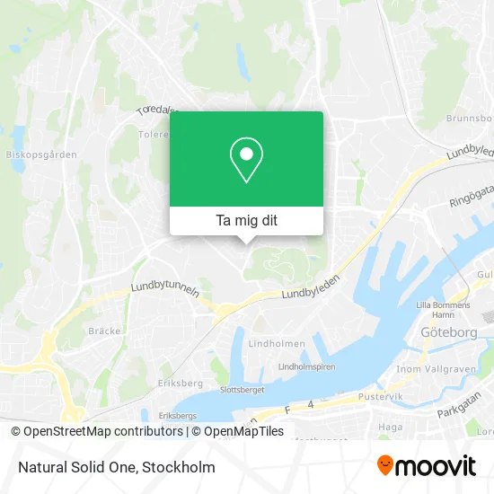 Natural Solid One karta