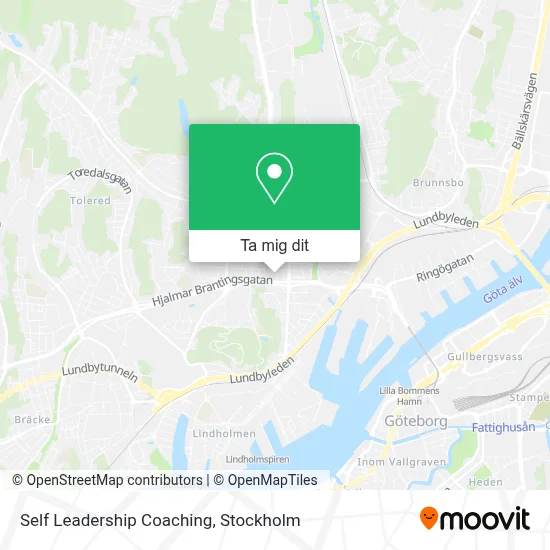 Self Leadership Coaching karta