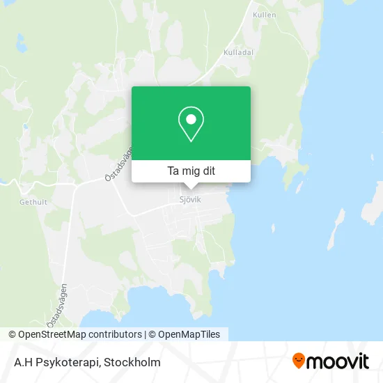 A.H Psykoterapi karta