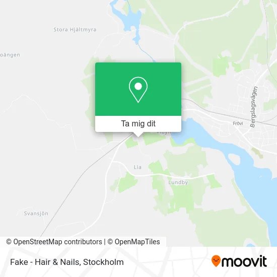 Fake - Hair & Nails karta