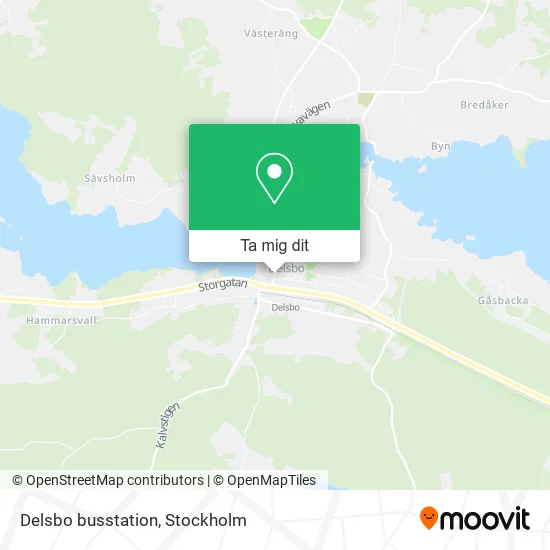Delsbo busstation karta