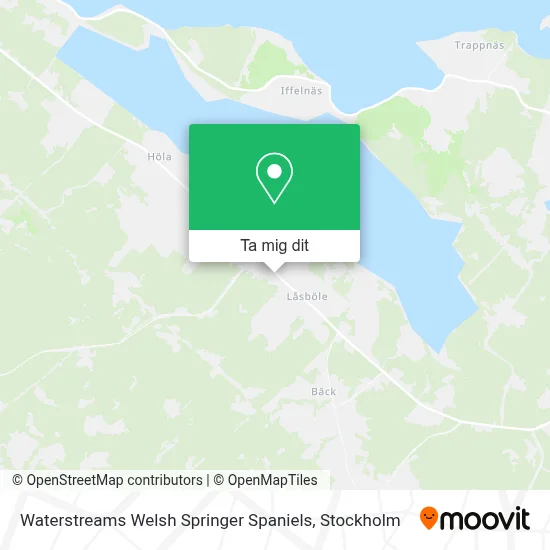 Waterstreams Welsh Springer Spaniels karta