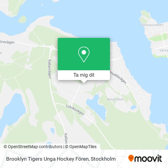 Brooklyn Tigers Unga Hockey Fören karta