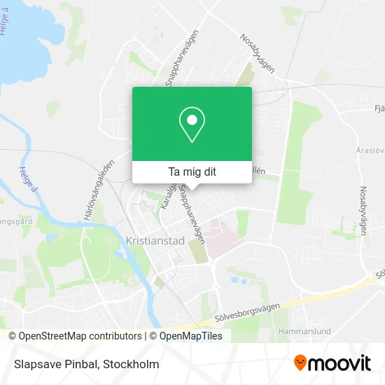 Slapsave Pinbal karta