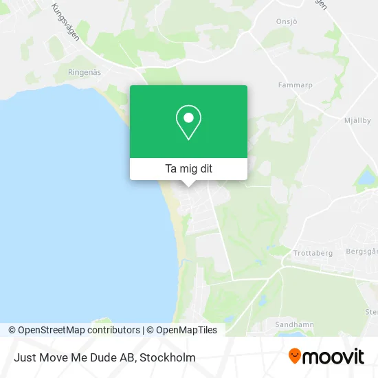 Just Move Me Dude AB karta