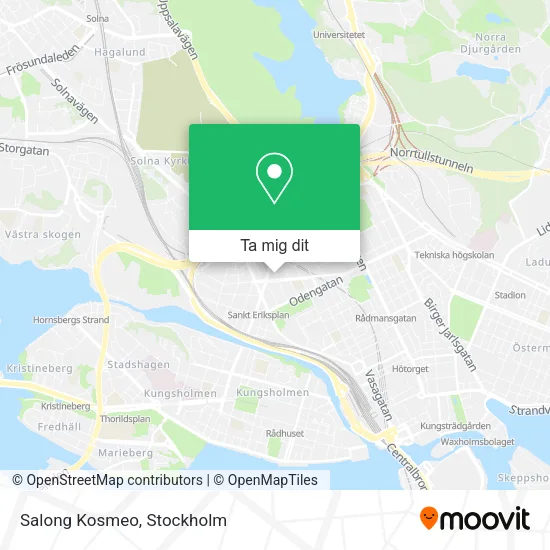 Salong Kosmeo karta