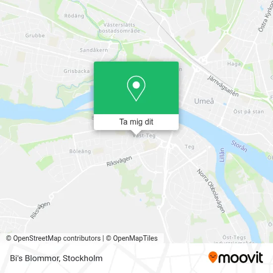 Bi's Blommor karta