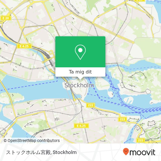 ストックホルム宮殿 karta