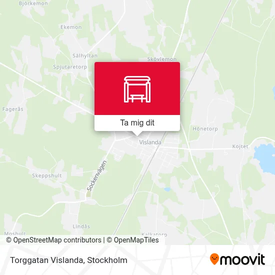 Torggatan Vislanda karta