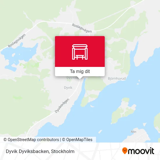Dyvik Dyviksbacken karta