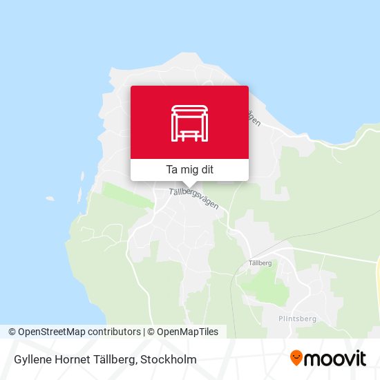 Gyllene Hornet Tällberg karta