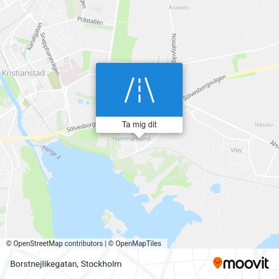Borstnejlikegatan karta