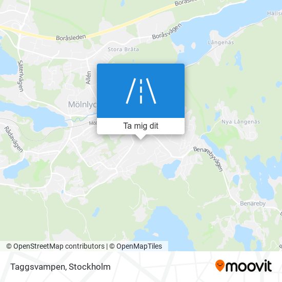 Taggsvampen karta