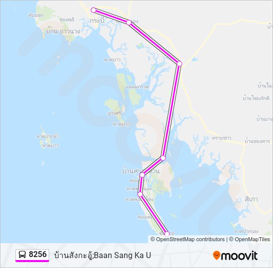 8256 รถบัส แผนที่สายรถ