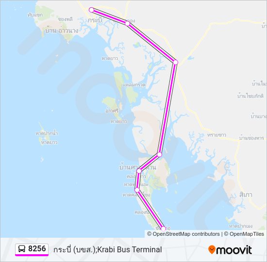 8256 รถบัส แผนที่สายรถ