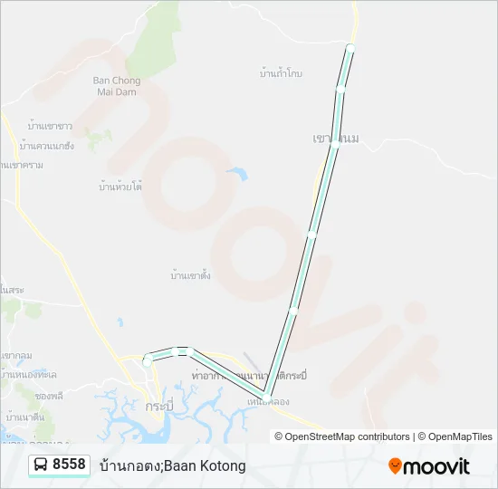 8558 Bus Line Map
